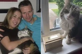 Family shocked as cat they thought they'd cremated turns up on doorstep a few days later