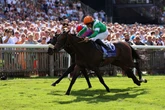 '66-1 winner can do it again' – Jason Heavey's Saturday tips