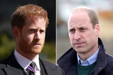 Prince William and Harry will 'put on brave face' for Diana celebration