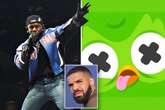 Dead Duolingo owl, Kendrick Lamar's Super Bowl show and Drake beef all connected