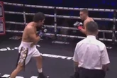 Joey Essex shocks the world as Misfits boxing debut turns into ridiculous mess