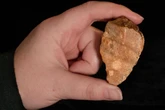 History could be re-written as mystery 'pre-human' 1.5million-year-old tool found