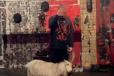 'Goat sacrificed' in trendy London office as part of 'black magic ritual'
