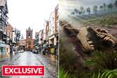 Britain's high street will 'face same fate as dinosaurs' if retailers fail to do one thing