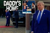 Trump drops 'Daddy's Home' music vid as NATO chief ridiculed for brown-nosing him