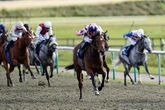 'Punters are getting stuck into her' – Jason Heavey's Tuesday racing tips