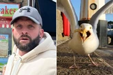 'Rude' man who 'punched seagull to death in front of families' sparks police hunt