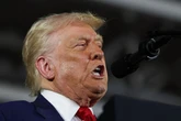 Donald Trump issues fresh five-word Greenland threat as he admits US may take military action