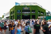 Wimbledon pubs forced to hire extra staff in 'busiest week yet' that's 'like Glastonbury'