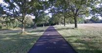 Southampton park 'murder' as adult body found following 'significant fire'