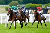 '14-1 shot will love the Sandown mud' – Jason Heavey's Saturday racing tips