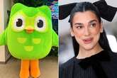 Duolingo's owl mascot 'dead' as company posts bizarre message towards Dua Lipa