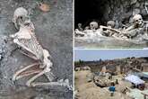 Scientists make shock DNA discovery in newly-found 'trapped' Pompeii victims