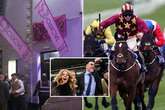 Cheltenham Festival guide from Guinness 'heaven', notorious night life and best tips