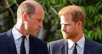 Prince William's cutting comment to brother Harry that broke his heart