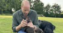 Kate Middleton shares adorable Prince William birthday photo with new puppies