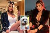 Model convinced 'sensitive' dog is gay as she tries to find him a boyfriend online