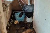 Pet owner left 12 cats to rot in hell house as 'skeletal remains' found in 'most distressing' case