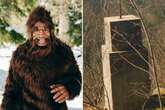 Eerie detail discovered in photo taken by couple at notorious Bigfoot hot spot