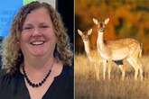 School worker guns down deer to 'blow off steam' - and gets unexpected reprisal