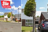 Tree chopped in half in 'petty' bird poo row still attracts 'tourists' four years on