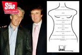 Trump's alleged drawing to Epstein contains 'conspiratorial secret' only the pair would understand