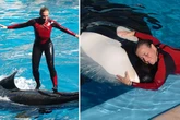 My sister was killed by SeaWorld orca - it haunts me every day