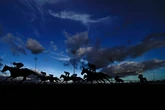'He ran a blinder in the Wokingham' – Jason Heavey's Wednesday racing tips