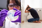 UK health bosses give urgent E.coli warning as infections double and on the rise