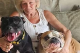 Moment dog walker filmed carrying 'lifeless' body of pet before owner finds it dead