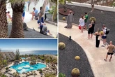 Brits outflank Germans in sun loungers battle with 'beyond embarrassing' 8am queue