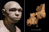 Discovery of oldest human bones ever re-writes story of human evolution in Europe