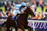 Horse-by-horse guide to 2025 Derby at Epsom