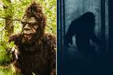 Bigfoot heard ‘screaming and whooping’ in Sasquatch hotspot – sending other animals crazy