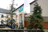 Battle of the 'UK's worst Christmas tree' begins as 'half-dead' twigs top leaderboard