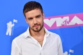 Liam Payne seen hours before balcony death with claim he 'could have been saved'