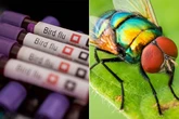 Deadly bird flu jumps to entirely different species - and they're in your house now