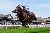Jason Heavey tips star horse to complete hat-trick of wins on Wednesday