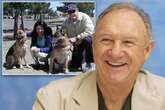 Gene Hackman police give update on dogs after one found dead along with couple