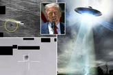 Trump UFO dump reveals 'mind-boggling' tech as humans may not be 'apex predator' anymore
