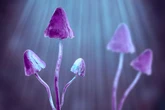 Psychedelic breakthrough exposes the secret behind LSD hallucinogenic properties