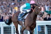 'She's the niece of Frankel and could be very special' – Jason Heavey's racing tips