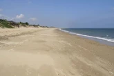 BREAKING Plane crashes near UK seaside town as huge search launched