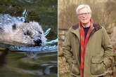 BBC Countryfile star John Craven wants beavers back in the UK to 'put things right'