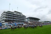 Racing chiefs vaccinated every horse within a mile of Epsom against killer equine flu