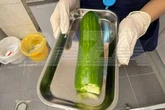 Woman found with 'King Cucumber' inside her after 'extreme lovemaking' - but docs have one question