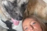 Woman faces cruelty probe over dog left tied to lamppost on hottest day of year
