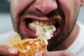 Bread 'sommeliers' the latest food fad and you need a training course to be one