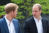 Feuding Harry and William 'call truce' for Diana ceremony but still 'no reconciliation'