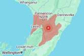 New Zealand earthquake leaves witnesses 'unable to stand up'